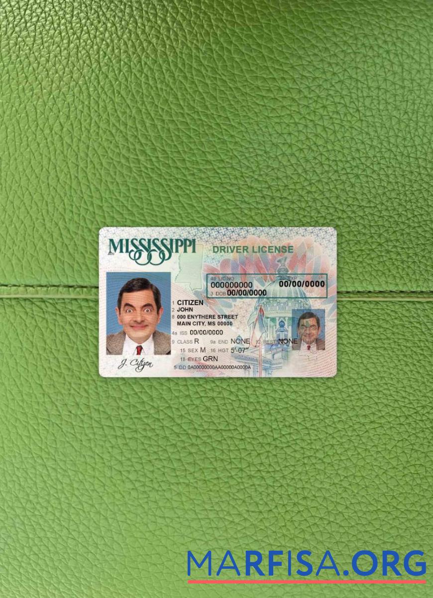 Printable USA Mississippi DL photolook example